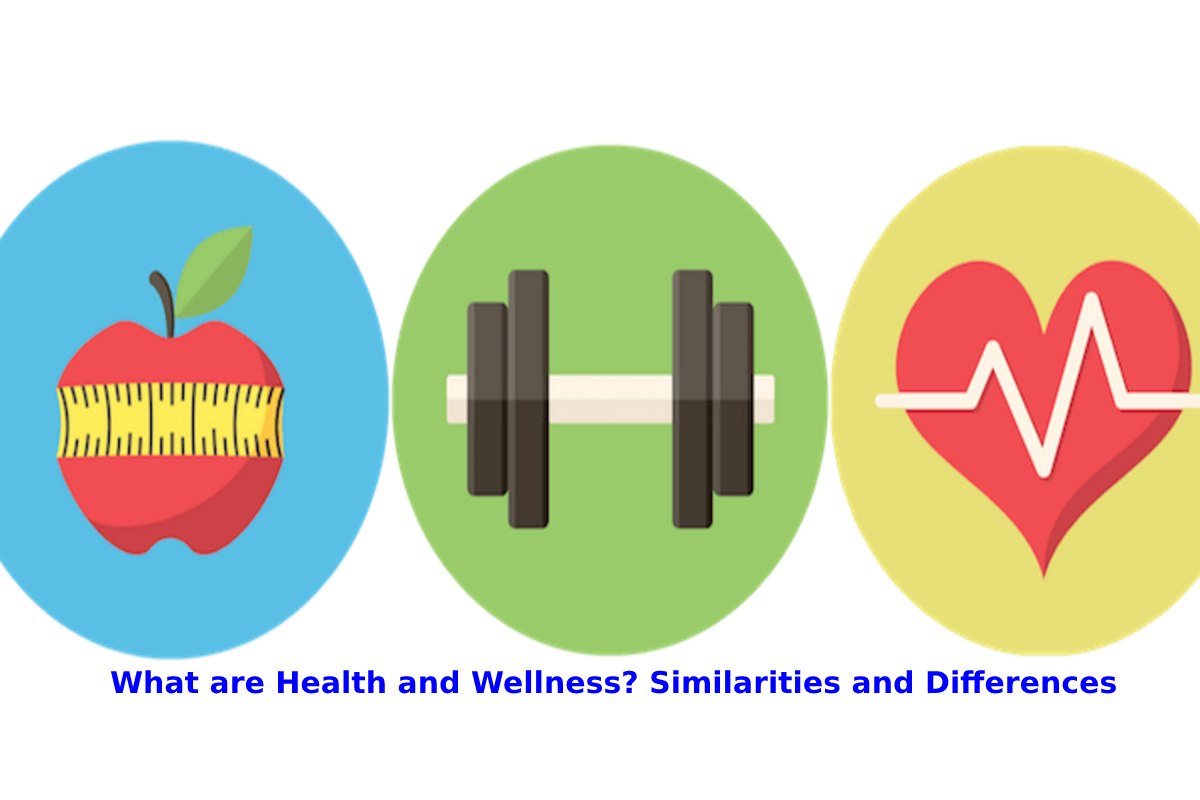 What Are Health And Wellness Similarities And Differences What Are Health And Wellness Similarities And Differences